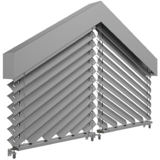 skosna wariant d1 d2